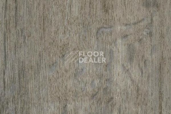 Виниловая плитка ПВХ FORBO Effekta Professional 0.45 4102 P Dusty Harvest Oak PRO фото 1 | FLOORDEALER